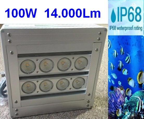 Floodlight waterproof IP68 100W 16.000 Lm